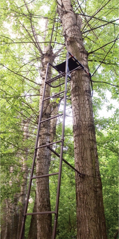 Засидка складная на дерево с лестницей Canadian Camper CC TS-622 купить по оптимальной цене,  доставка по России, гарантия качества